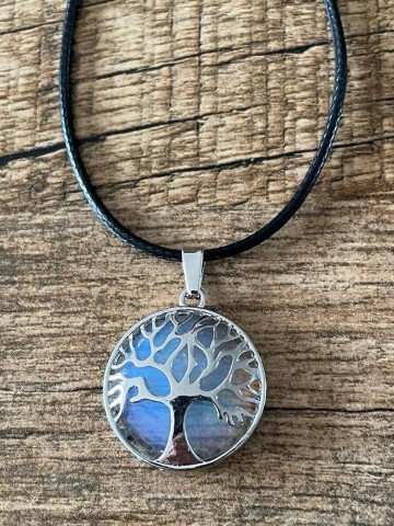 3082051598188778559598163960284408098524031n