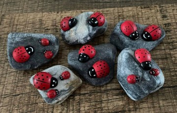 31199264216300757107235252997198137214617914n