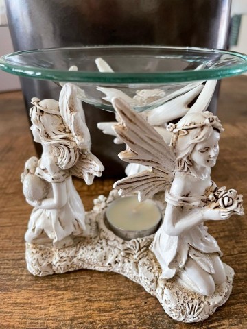 318101580131434998272051887708329883043511n 0