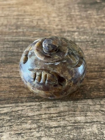 3217823098283491415784834393223647509631380n