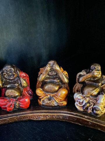 331057861742384133897476844228600866746235n