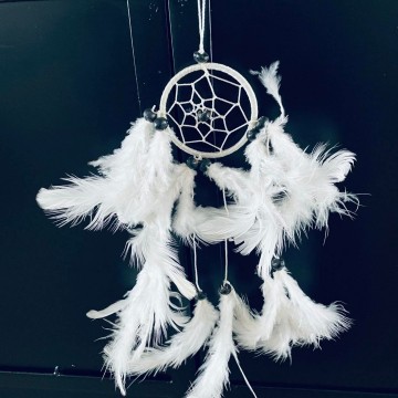 3369109187056370913510994299580278654432751n