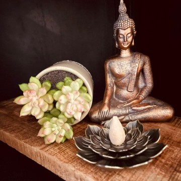 3370381457161486703047797645989760651639537n