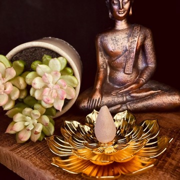 337152457598025625707524357812223220160802n