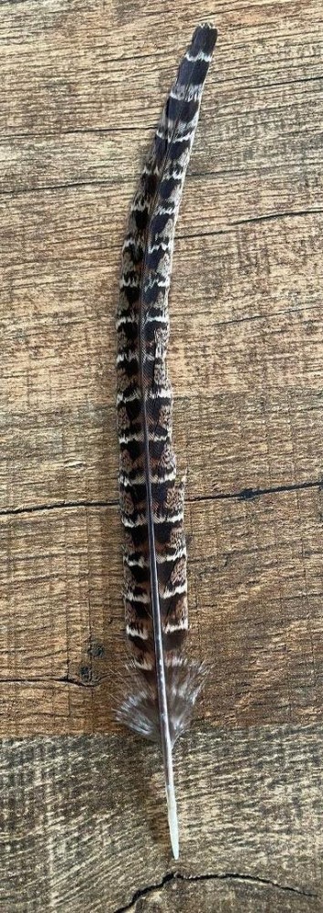 33898041114122433926497531539795928818108887n