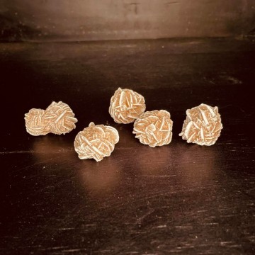 33916503590993275001409588207343840994145564n 0