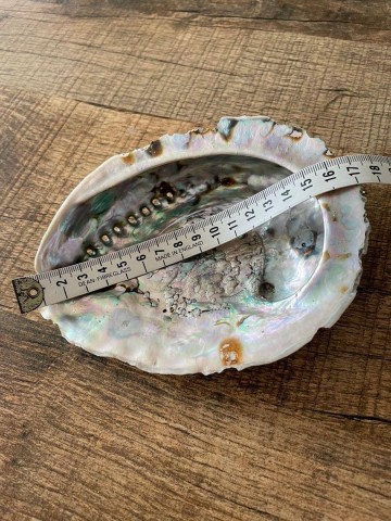 33928315311744921866005197284458707727177527n 0