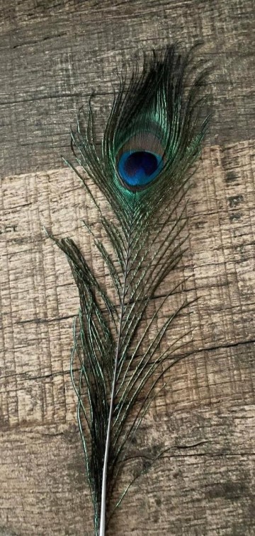 33939770312595285016612298955762639086970487n