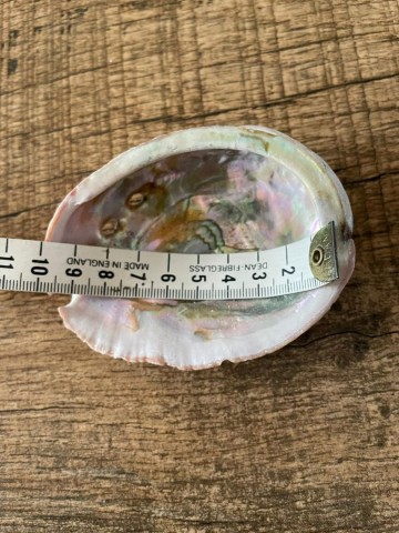 3395491771897018938645975528665477015472053n