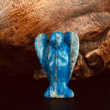 3437907275820237470906741430560972457577707n