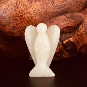 3447897669967928016907065864648970246495202n 0