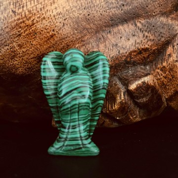 3450238461487839313887421682607217822984730n