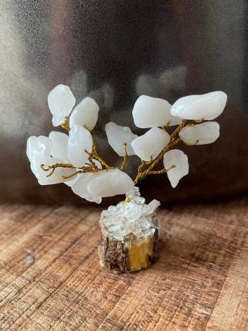 3509822397385609782694725464638442278474n