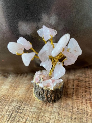 35115603814861310955229186861364113913682601n