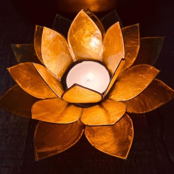 3512898608116871969554287983333317121414667n