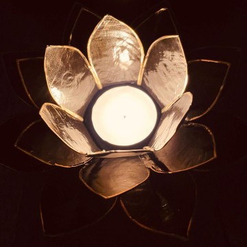 35142677810871229955813126243733066545508892n