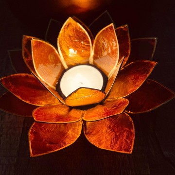 35143848714497676391963431111564946572222387n