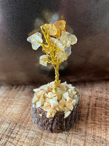 3515705132752603917263652192972899521451288n