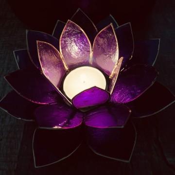 3517362132778064479813466088500531981346508n 0