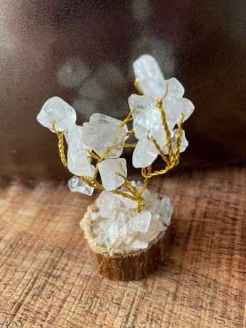 3522230719225514221892553093719543942718339n