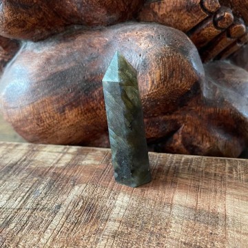 3556817572713884721099787472203802021879716n