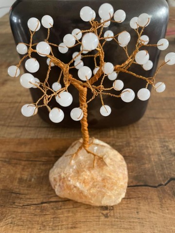 3567994911228286074880635708799095001992025n