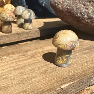 3571902873003224656923164836042887427829115n