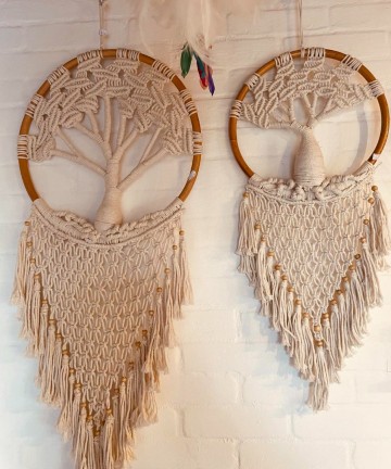 3600470502524529342178844786285051094472415n