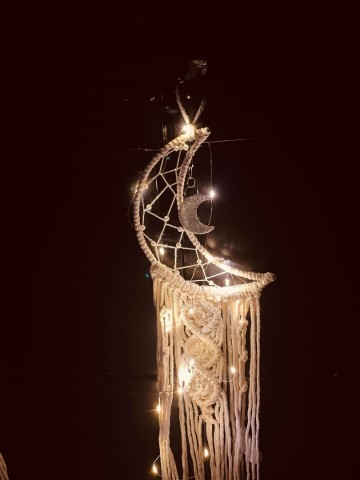 3722382237514866367368673386295011430085173n