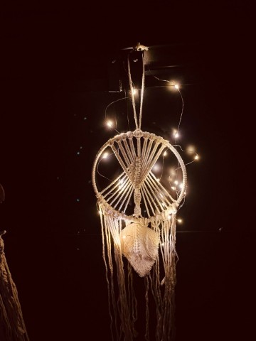 3722695996204213236142428665735871652318788n