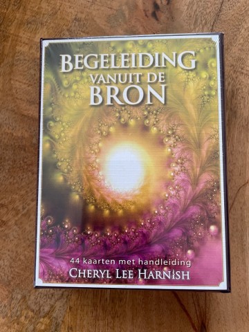 Begleiding vanuit de bron