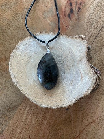 Labradoriet bladhanger