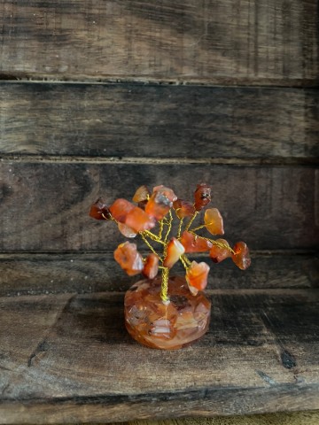 Levensboompje carneool