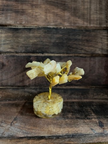 Levensboompje golden healer