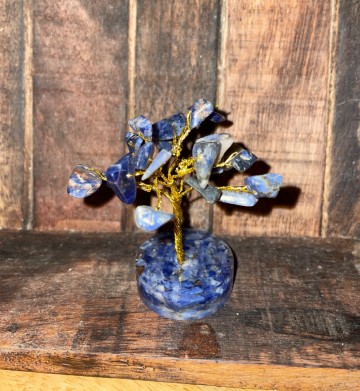 Levensboompje sodaliet