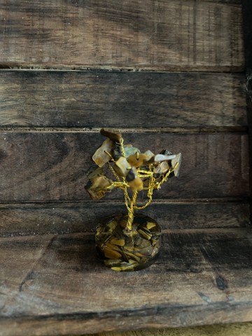 Levensboompje tijgeroog