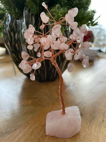 Rozenkwarts boompje 1