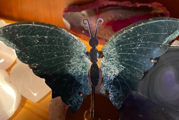 Vlinder mosagaat heliotroop 0